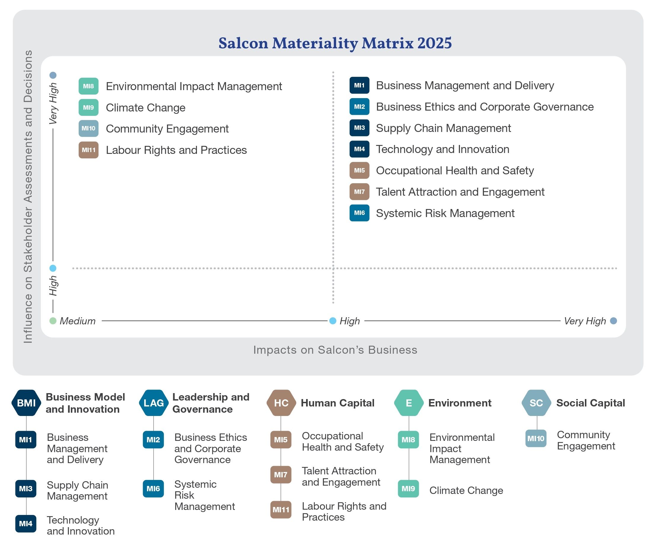 Salcon Materiality Matrix 2025