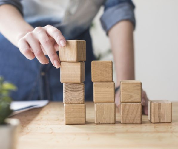 Human Capital Development